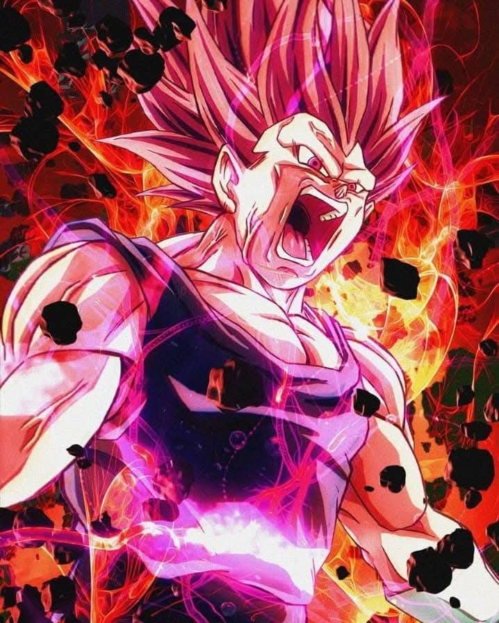 Vegeta — Rage of the Prince (Super Saiyan Rosé), proti Frieza, Cell, Majin Buu, Dr. Gero